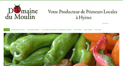 Desktop Screenshot of moulin.fr