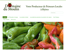 Tablet Screenshot of moulin.fr
